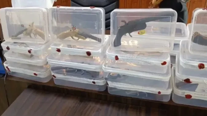 ईख के खेत में तमंचा फैक्ट्री का भंडाफोड़, आरोपी गिरफ्तार, हथियार बरामद