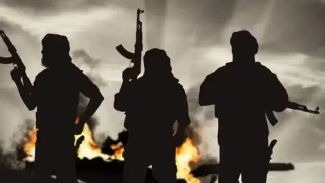 भारत में युवाओं को कट्टरपंथी बनाने की साजिश नाकाम, संदिग्ध आतंकी मॉड्यूल का भंडाफोड़