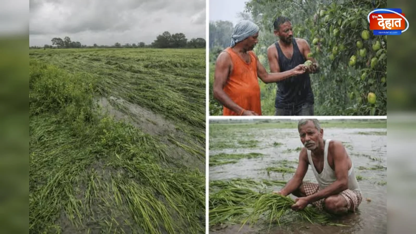 मुजफ्फरनगर में बारिश से बदला मौसम, किसानों की बढ़ी चिंता
