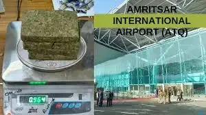 अमृतसर हवाई अड्डे पर बैंकाक यात्री से 964 ग्राम गांजा बरामद