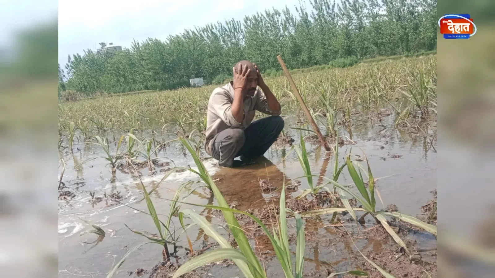 मुजफ्फ़रनगर में रजवाहे का पानी ओवरफ्लो, किसानों का लाखों का नुकसान