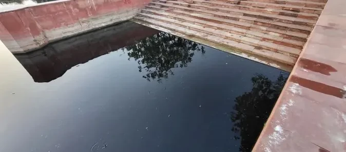 मथुरा: बारिश के बाद सरोवर में मछलियां मरने से हड़कंप, ग्रामीणों में आक्रोश