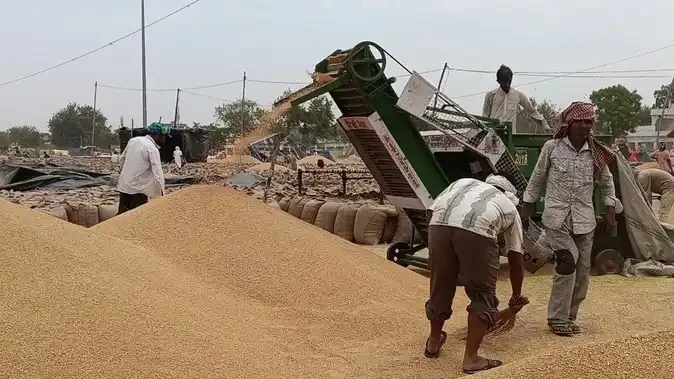 यूपी में किसानों को बड़ी राहत, बिना राजस्व सत्यापन भी होगी गेहूं की खरीद