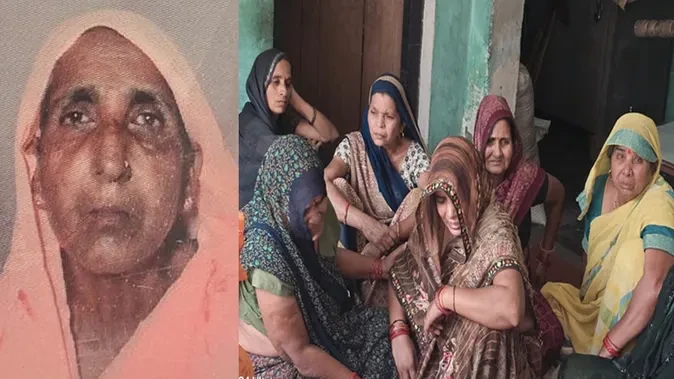 फर्रुखाबाद: सकवाई गांव में मधुमक्खियों का हमला, वृद्धा की मौत से मचा कोहराम