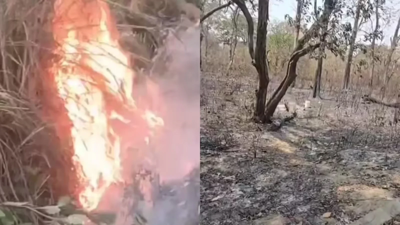 मुज़फ़्फ़रनगर में भीषण गर्मी का असर, एक ही दिन में आग की 6 घटनाएं