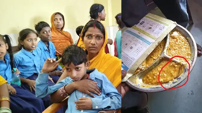 थाली में मिला मरा हुआ सांप, सहरसा में मिड-डे मील खाने से 250 से अधिक बच्चे बीमार