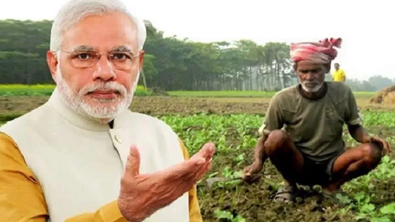 मोदी कैबिनेट का बड़ा फैसला: 14 खरीफ फसलों के MSP में बढ़ोतरी को मंजूरी