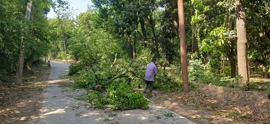 पश्चिमी यूपी में आंधी-बारिश का कहर, कई जिलों में भारी नुकसान
