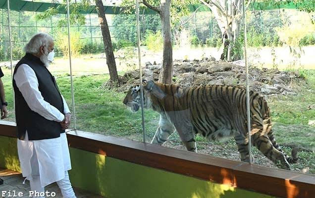 पीएम मोदी ने वन्यजीव संरक्षण प्रयासों का समर्थन करने वालों की सराहना की