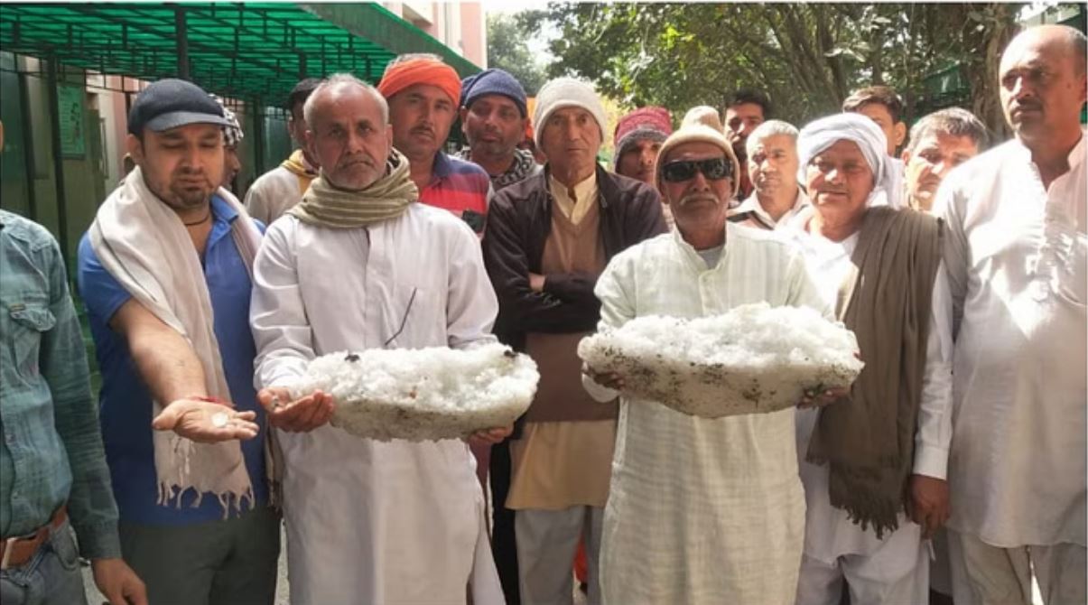20 घंटे बाद भी नहीं पिघले ओले: किसान बोरे में भरकर पहुंचे एसडीएम कार्यालय
