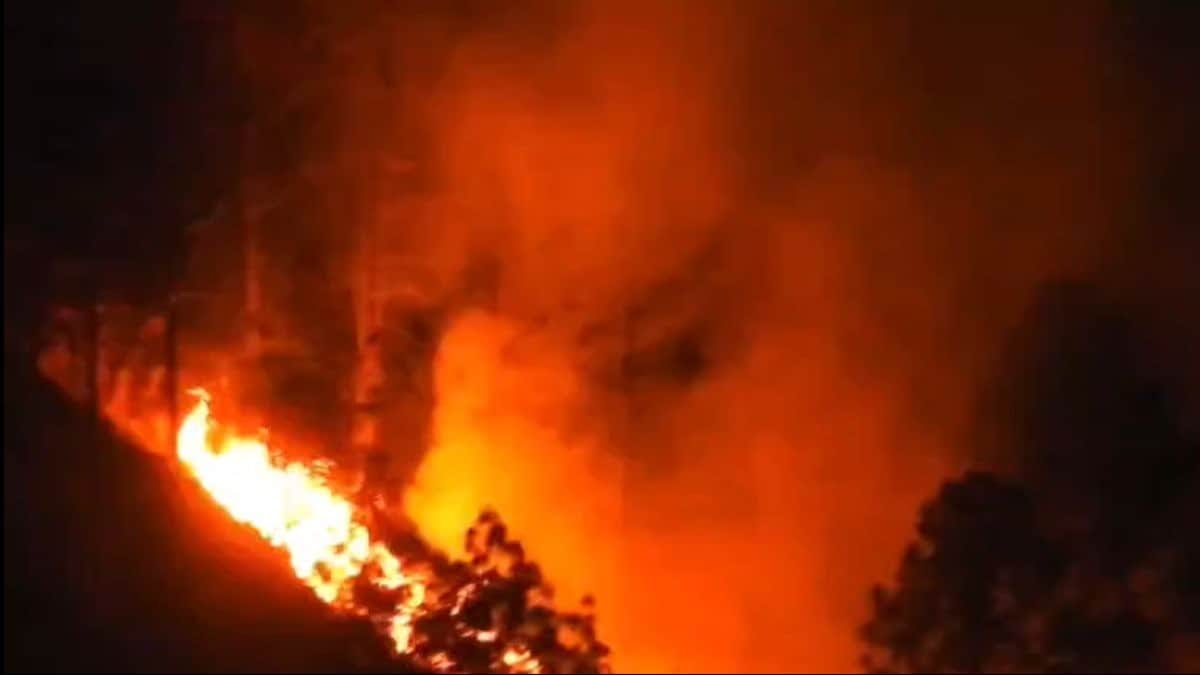 उत्तराखंड में आग का तांडव: धधकते जंगलों ने वनकर्मियों के छुड़ाए पसीने