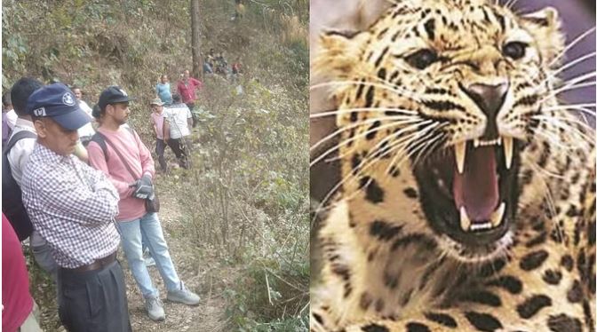 रुद्रप्रयाग: झाड़ियों में मिला युवक का शव, एक पैर और सिर गायब