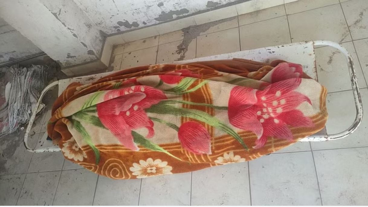 छत्तीसगढ़ में हादसों का बुधवार: कहीं भालू का आतंक तो कहीं किसान की मौत बनी रहस्य