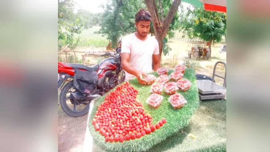 मुजफ्फरनगर: बेलड़ा के दो भाइयों ने स्ट्रॉबेरी की पैदावार से बनाई उत्तराखंड तक पहचान