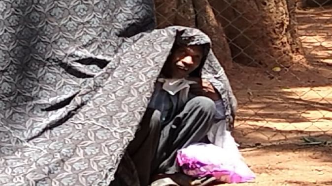 सरहुल सरना पूजा कर रहे बैगाओं पर मधुमक्खियों का हमला, पूर्व विधायक जगेश्वर राम हुए बेहोश