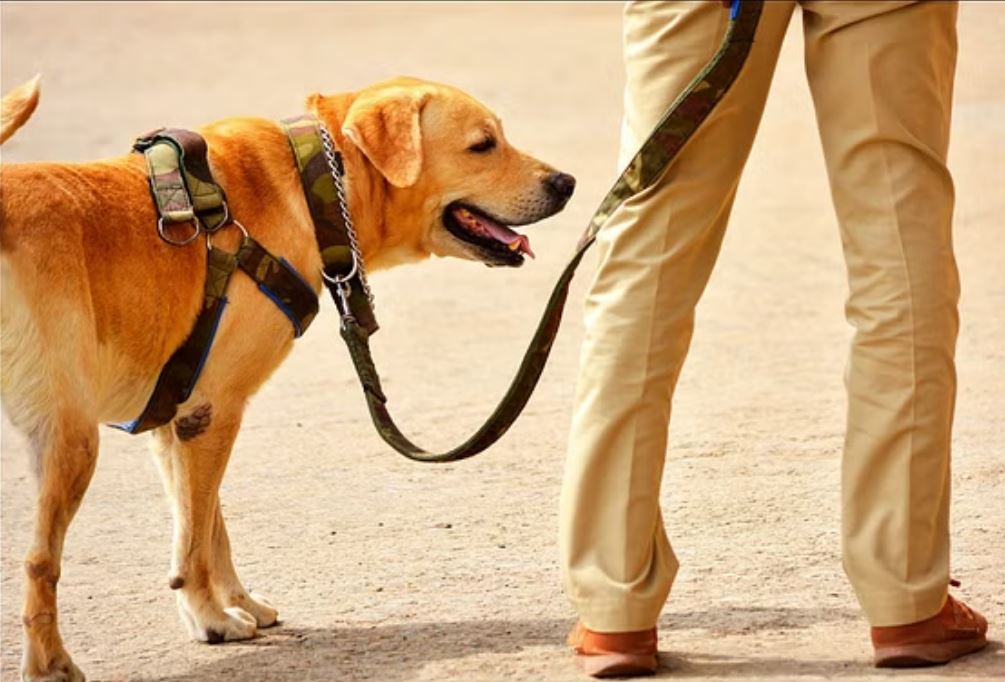 झारखंड: हजारीबाग में राजमिस्त्री की गोली मारकर हत्या