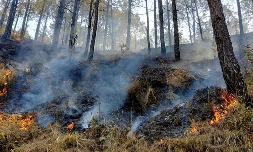 उत्तराखंड: नेपाली मजदूर समेत सात को वनों में आग लगाते रंगे हाथ दबोचा, सभी पर मुकदमा