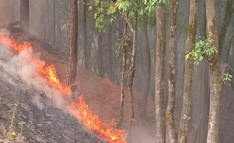 उत्तराखंड में डराने लगे सुलगते जंगल...लोगों का घरों में फूल रहा दम
