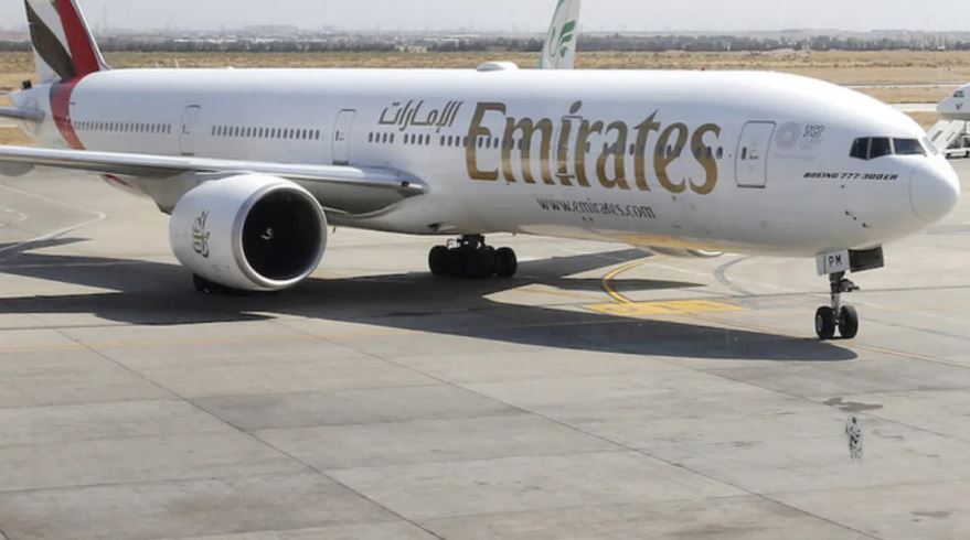 विमान से टकराने से 36 फ्लेमिंगो की मौत