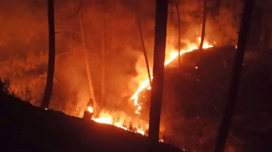 फैल रही उत्तराखंड के जंगल की आग, पिथौरागढ़ में मचाई तबाही
