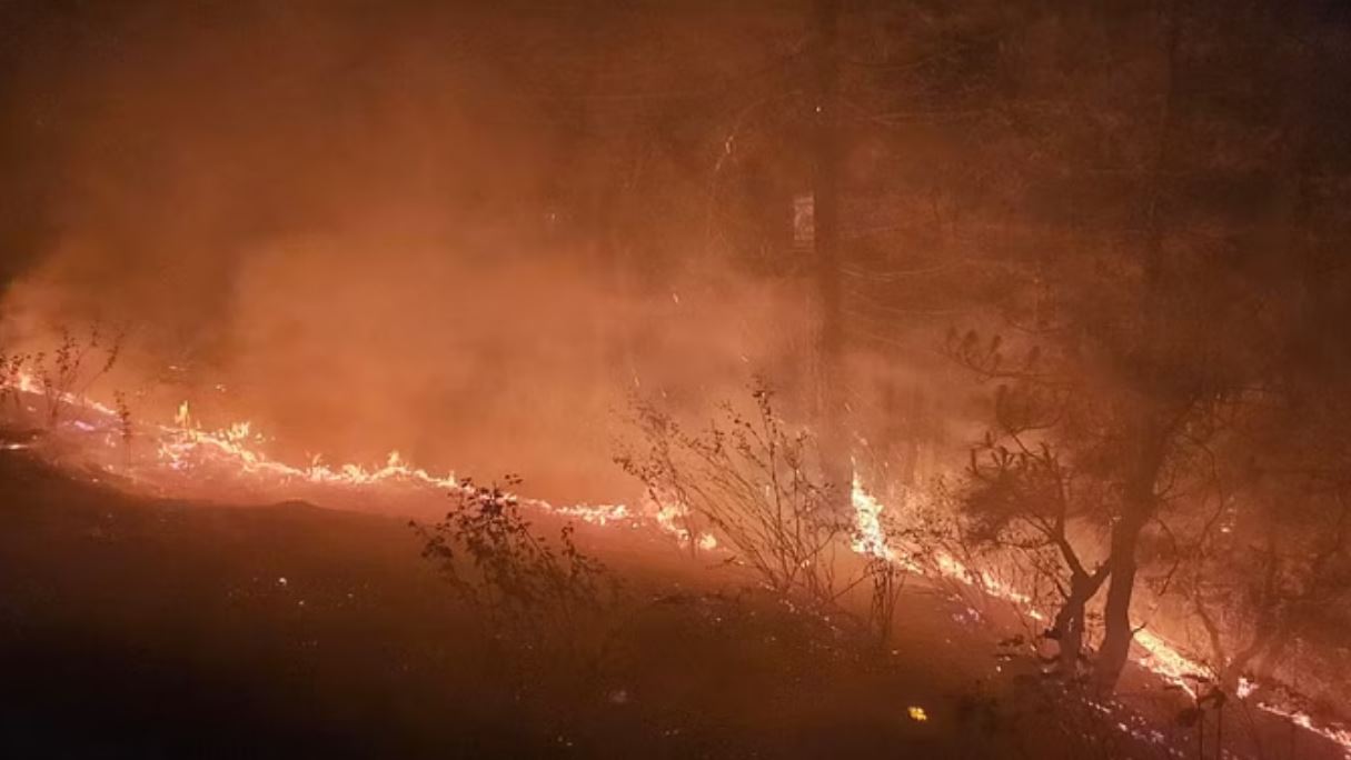 उत्तराखंड: जंगल की आग के आगे धरे रह गए विभाग के सारे इंतजाम, पिछले 10 साल के देखें ये आंकड़े