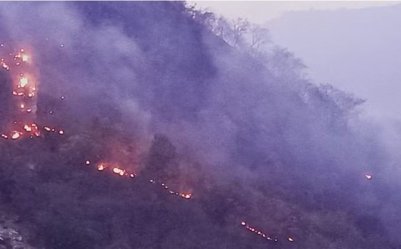 उत्तराखंड में बेकाबू हो रही आग: सीएम धामी ने बुलाई हाई लेवल मीटिंग