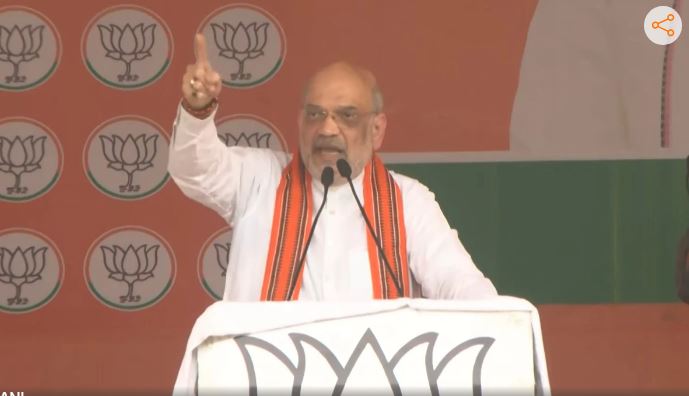 मोदी की झोली में जाने वाली हैं अमेठी और रायबरेली सीट: अमित शाह