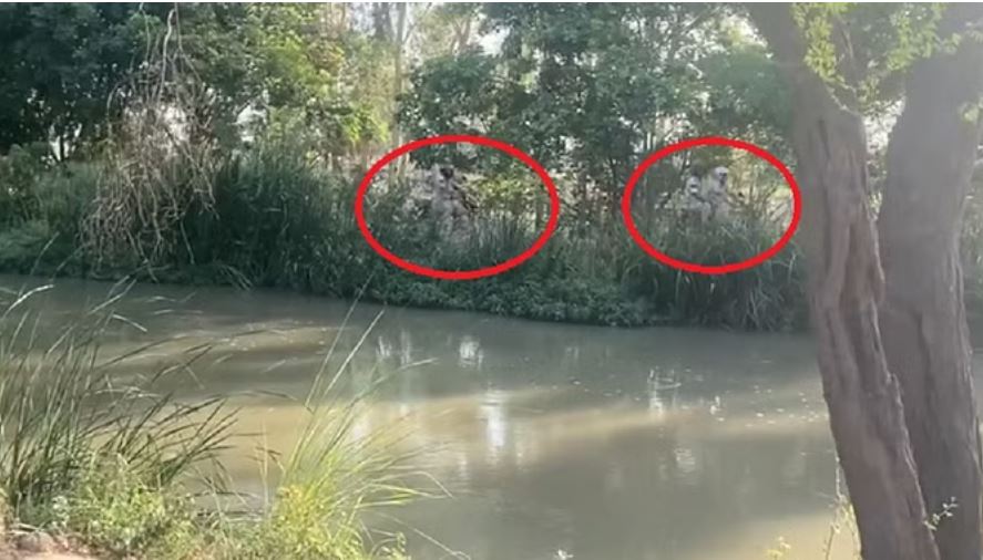 दिल्ली जल संकट: पानी पर पुलिस का पहरा... मुनक नहर पर पेट्रोलिंग