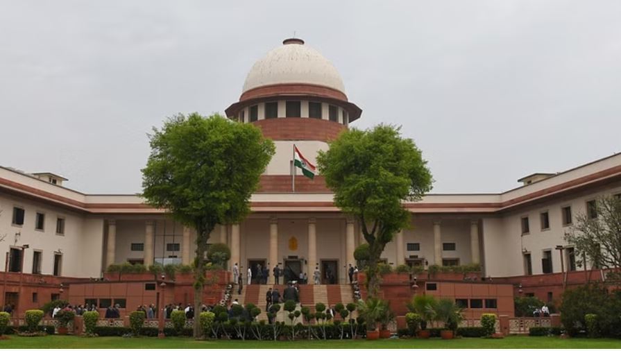 डीडीए को 'सुप्रीम' फटकार: पूछा- दिल्ली के रिज इलाके में क्यों हो रही पेड़ों की कटाई?