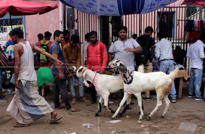 बकरीद पर 300 करोड़ के कारोबार से चहका बाजार
