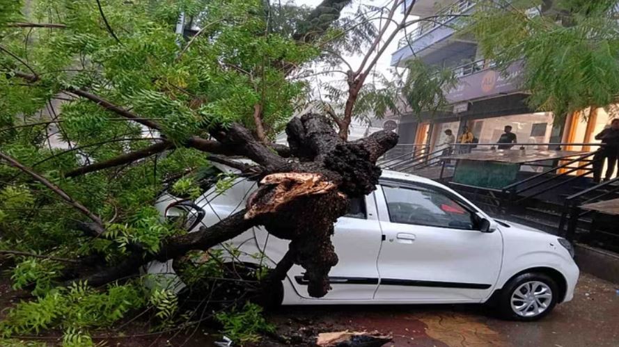 सिरोही: तेज हवाओं के साथ बारिश ने दिलाई गर्मी से राहत, पार्क के समीप कार पर गिरा नीम का पेड़