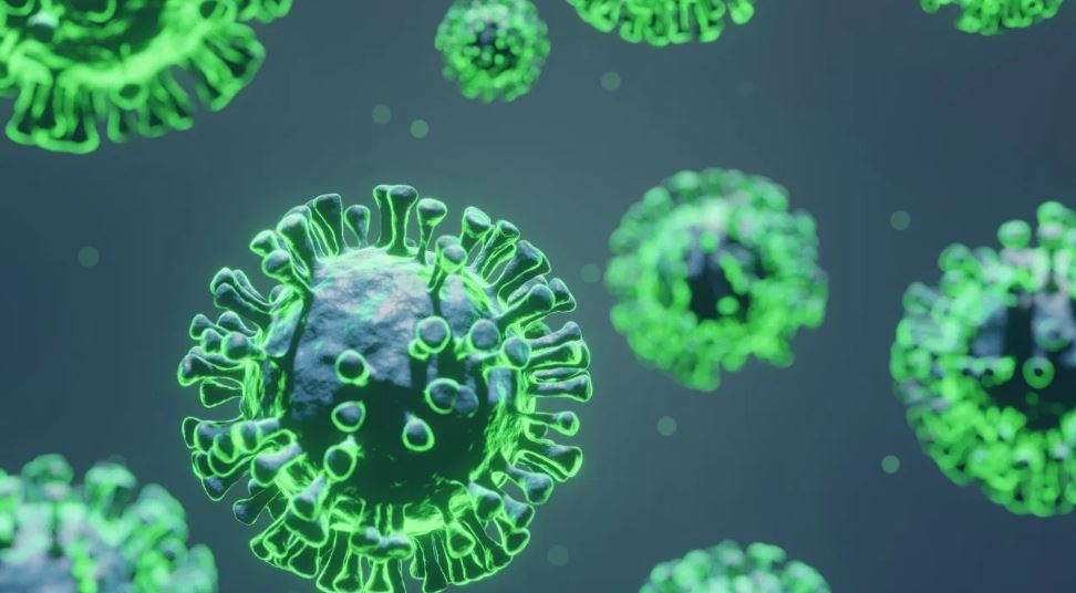 अब इंसानों में भी फैल रहा बर्ड फ्लू, भारत में आया दूसरा केस