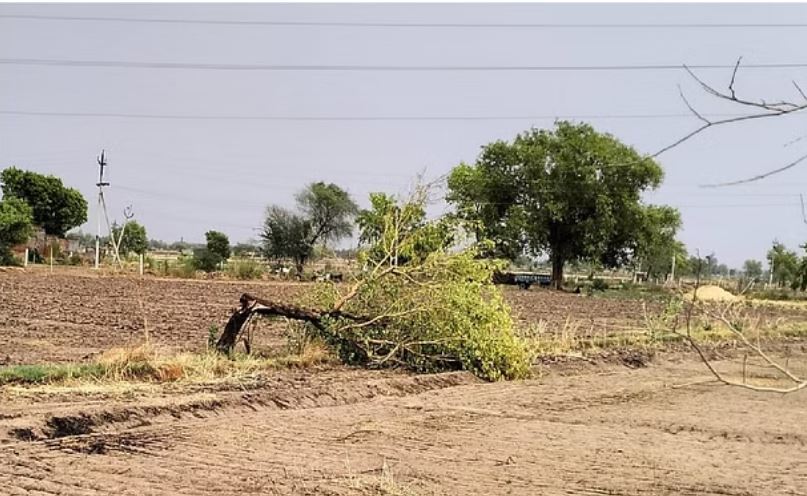 हरियाणा में बदला मौसम, रोहतक में तेज आंधी के साथ बारिश और ओलावृष्टि