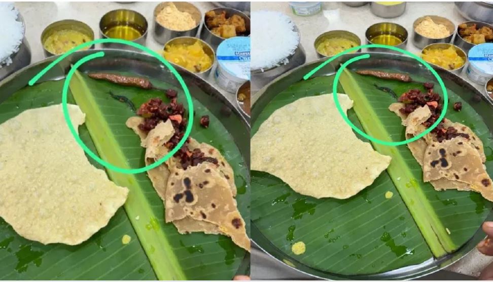 खाने में निकला रेंगता हुआ कीड़ा, ग्राहक की शिकायत पर होटल पहुंची पुलिस