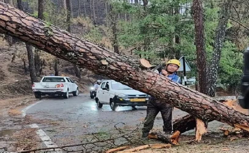 तेज बारिश और हवा: अंधड़ ने गिराए पेड़, एनएच समेत कई मार्गों पर थमी आवाजाही