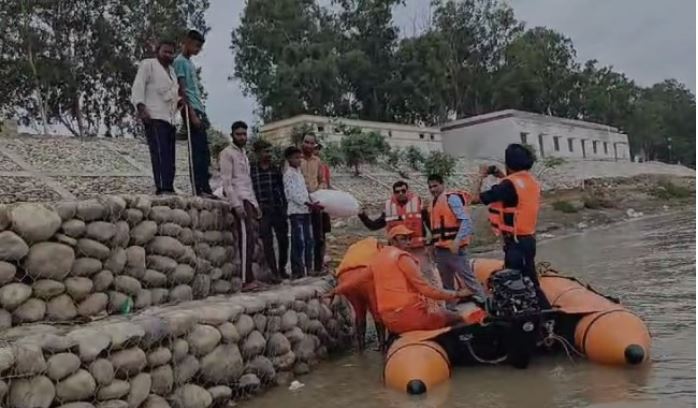 मुजफ्फरनगर में एनडीआरएफ की टीम ने किया मॉक ड्रिल