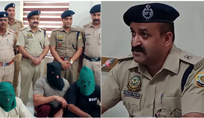 गुजरात से हिमाचल लाई जा रही नशे की बड़ी खेप, तस्कर गिरफ्तार