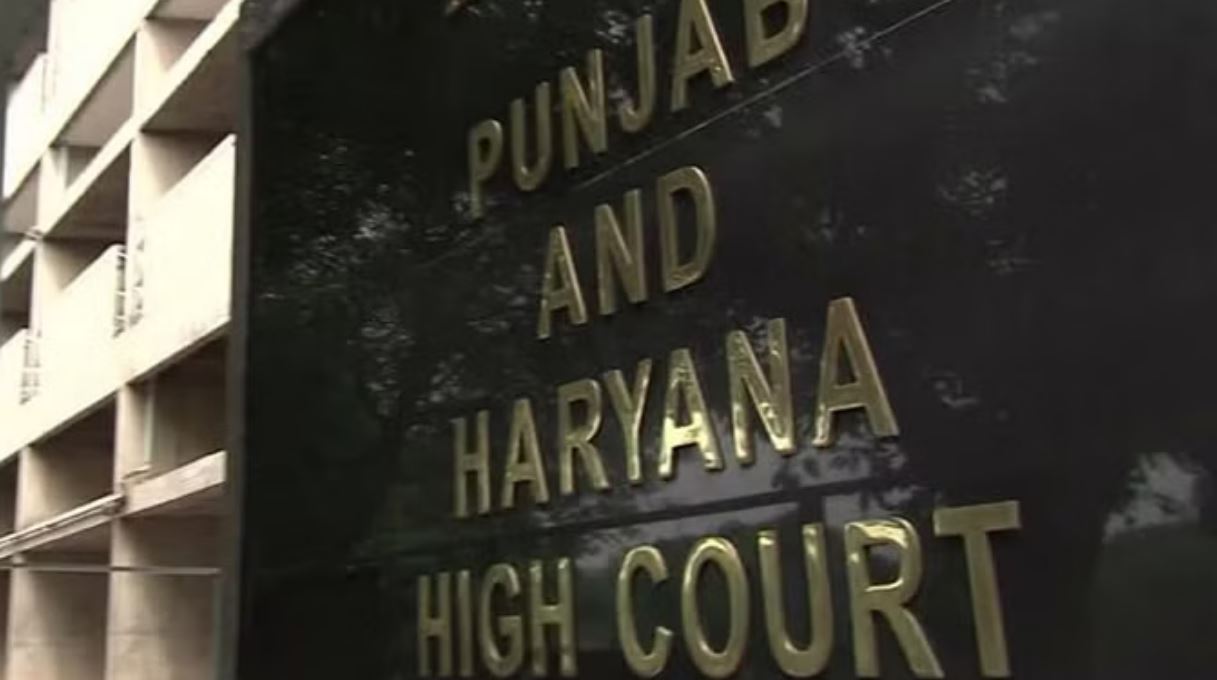 हाईकोर्ट की टिप्पणी: स्तनपान करने वाले बच्चे के लिए मां का प्यार मौलिक अधिकार