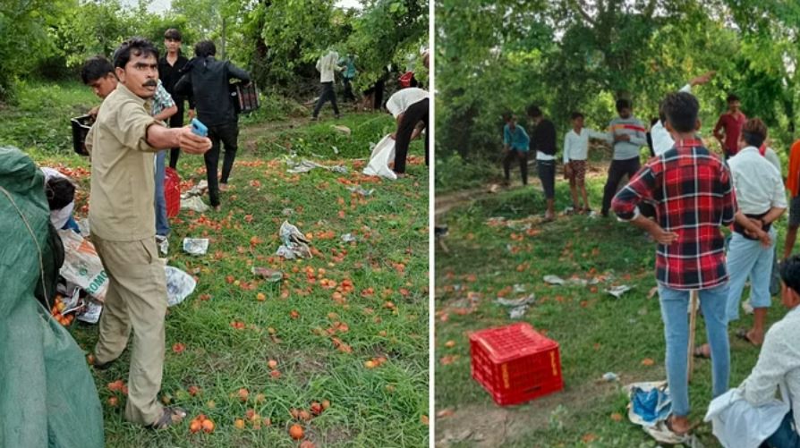 सागर: हाईवे पर पलटा टमाटर से भरा ट्रक, बीच सड़क पर हुई टमाटर की लूट