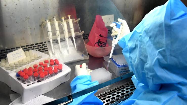 भारत ने कोरोना से हुई मौतों पर किए गए अध्ययन को किया खारिज