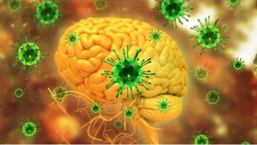 केरल में निपाह वायरस ने फिर दी दस्तक, नाबालिग में हुई संक्रमण की पुष्टि