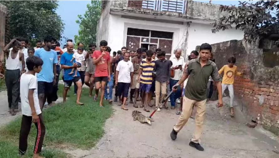 रुड़की: आबादी क्षेत्र में सड़क पर घूमता दिखा मगरमच्छ