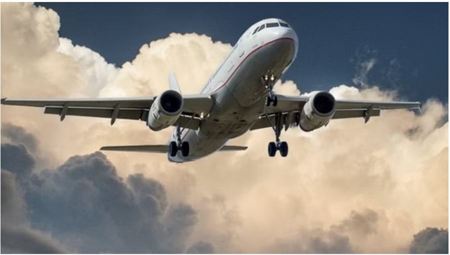 डीजीसीए: इस वर्ष 51 यात्रियों को ‘नो फ्लाई लिस्ट’ में रखा गया