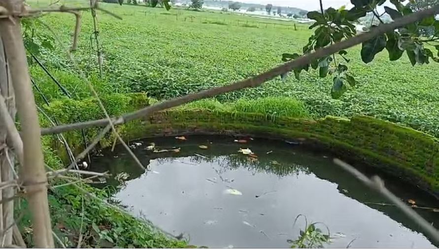 गया में डेंगू के बाद डायरिया का कहर, दो मासूमों की मौत