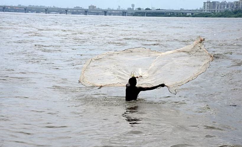 नगांव के मछली व्यापारियों ने ऊपरी असम में रोकी मछलियों की आपूर्ति