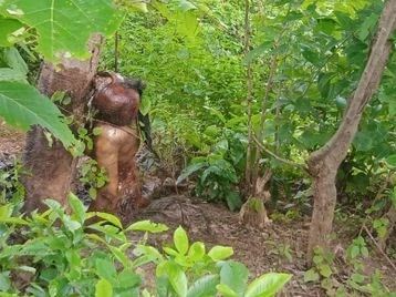 दृश्यम मूवी देख हत्या की रची साजिश: पति और प्रेमी ने मिलकर महिला को उतारा मौत के घाट