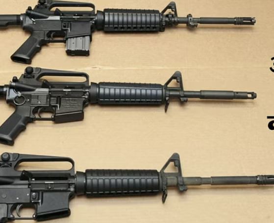 सिग असॉल्ट राइफलों की खरीद पर नाराज देश के हथियार निर्माता, 'मेक इन इंडिया' पहल पर उठाए सवाल