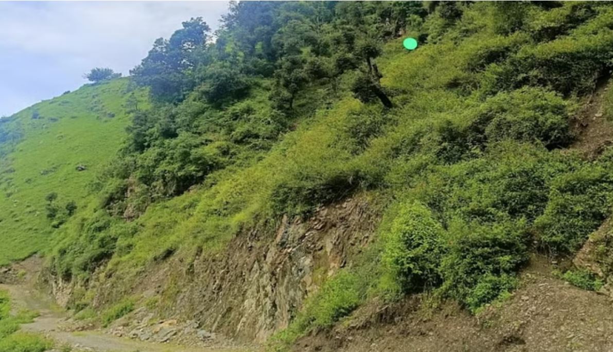 चंबा: पहाड़ी से गिरे पत्थरों की चपेट में आने से बुआ और भतीजे की मौत