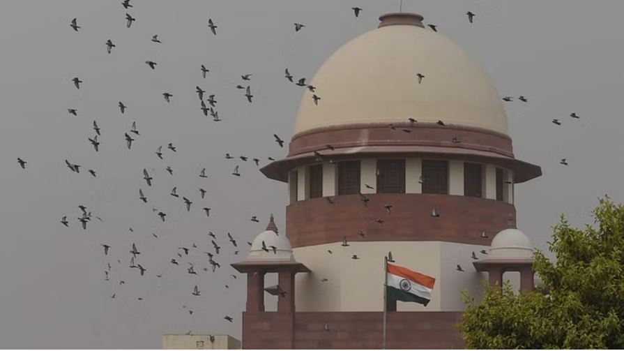 सरकार की सलाह के बिना एलजी कर सकते हैं नगर निगम में एल्डरमैन की नियुक्ति: एससी