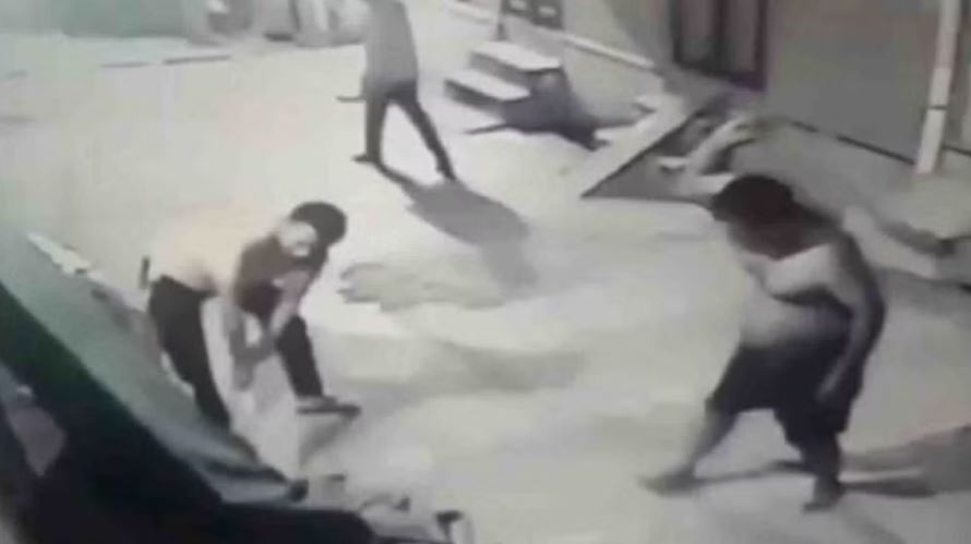 बीकानेर: बेजुबान से दरिंदगी, दो कुत्तों पर युवकों ने बरसाए डंडे, जबड़ा तोड़ा